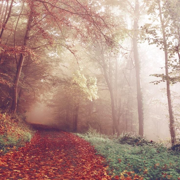 Low-impact nature route